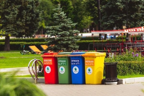 Installer des cache-poubelles : pourquoi est-ce important ?